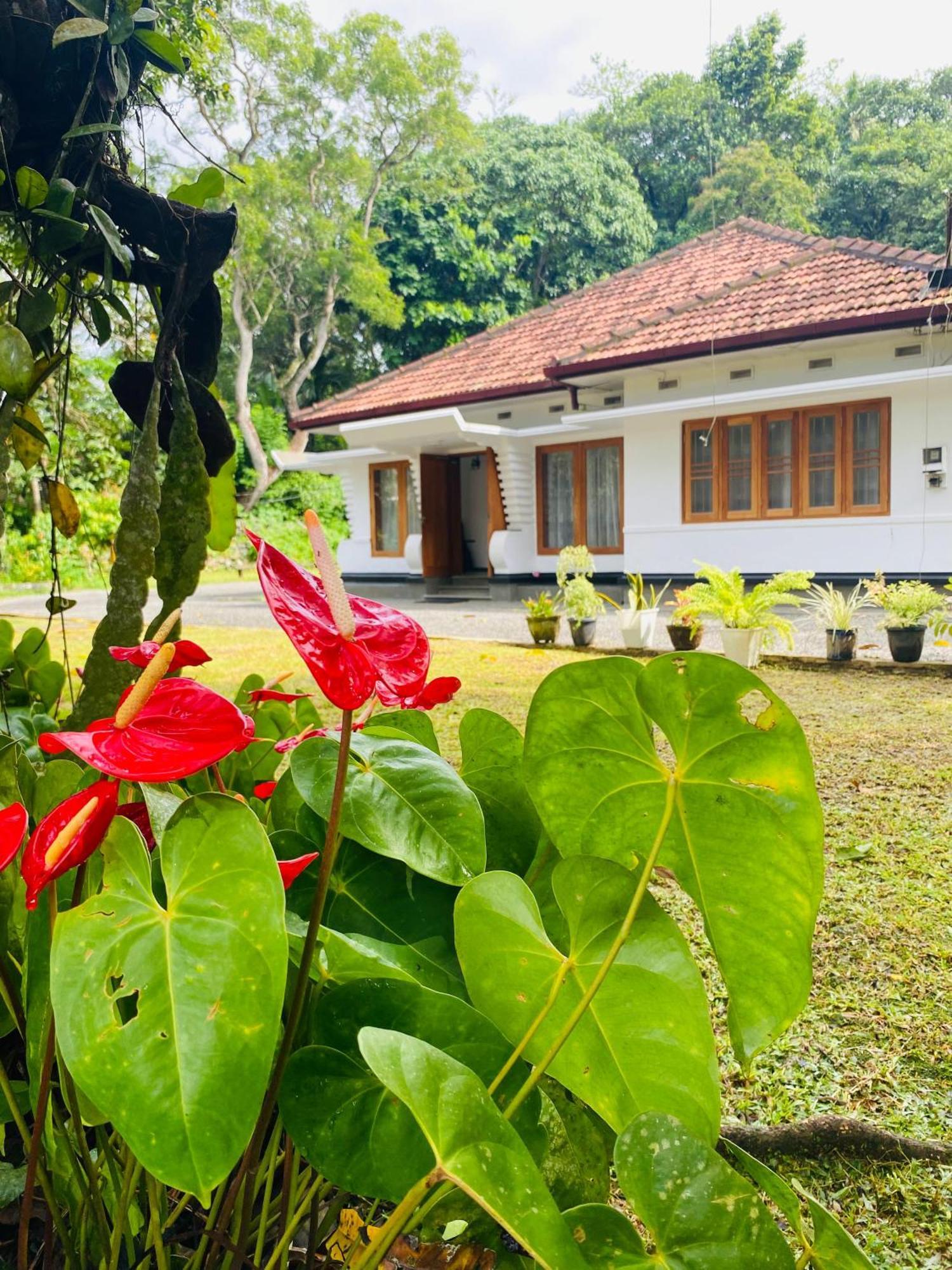 Happy Valley Residence Unawatuna Galle Zewnętrze zdjęcie